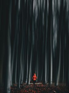 Preview wallpaper forest, trees, man, illusion, blur