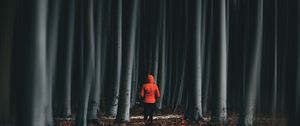 Preview wallpaper forest, trees, man, illusion, blur