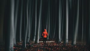 Preview wallpaper forest, trees, man, illusion, blur
