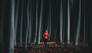 Preview wallpaper forest, trees, man, illusion, blur