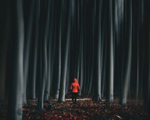 Preview wallpaper forest, trees, man, illusion, blur