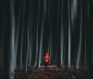 Preview wallpaper forest, trees, man, illusion, blur