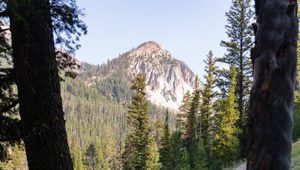 Preview wallpaper forest, trees, mountain, peak, landscape, nature