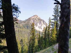 Preview wallpaper forest, trees, mountain, peak, landscape, nature