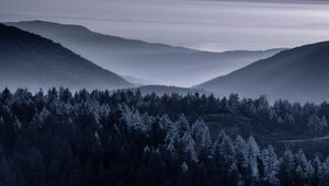 Preview wallpaper forest, trees, mountains, hills, nature