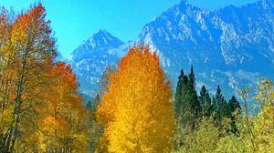 Preview wallpaper forest, trees, mountains, path, landscape, autumn