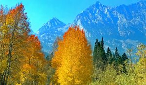 Preview wallpaper forest, trees, mountains, path, landscape, autumn