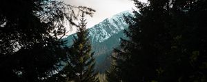 Preview wallpaper forest, trees, mountains, landscape, peak