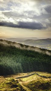 Preview wallpaper forest, trees, mountains, clouds, landscape, overview