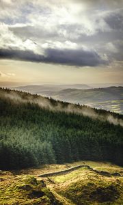 Preview wallpaper forest, trees, mountains, clouds, landscape, overview