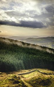 Preview wallpaper forest, trees, mountains, clouds, landscape, overview