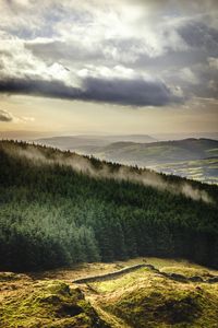 Preview wallpaper forest, trees, mountains, clouds, landscape, overview