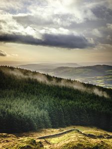Preview wallpaper forest, trees, mountains, clouds, landscape, overview