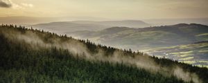 Preview wallpaper forest, trees, mountains, clouds, landscape, overview