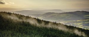 Preview wallpaper forest, trees, mountains, clouds, landscape, overview