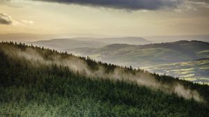 Preview wallpaper forest, trees, mountains, clouds, landscape, overview