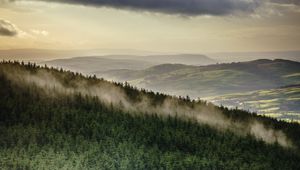 Preview wallpaper forest, trees, mountains, clouds, landscape, overview