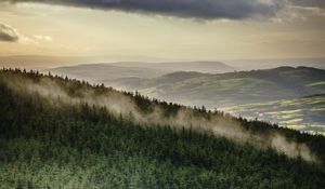 Preview wallpaper forest, trees, mountains, clouds, landscape, overview