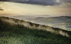 Preview wallpaper forest, trees, mountains, clouds, landscape, overview