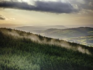 Preview wallpaper forest, trees, mountains, clouds, landscape, overview