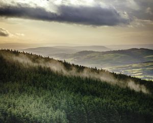 Preview wallpaper forest, trees, mountains, clouds, landscape, overview