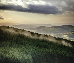 Preview wallpaper forest, trees, mountains, clouds, landscape, overview