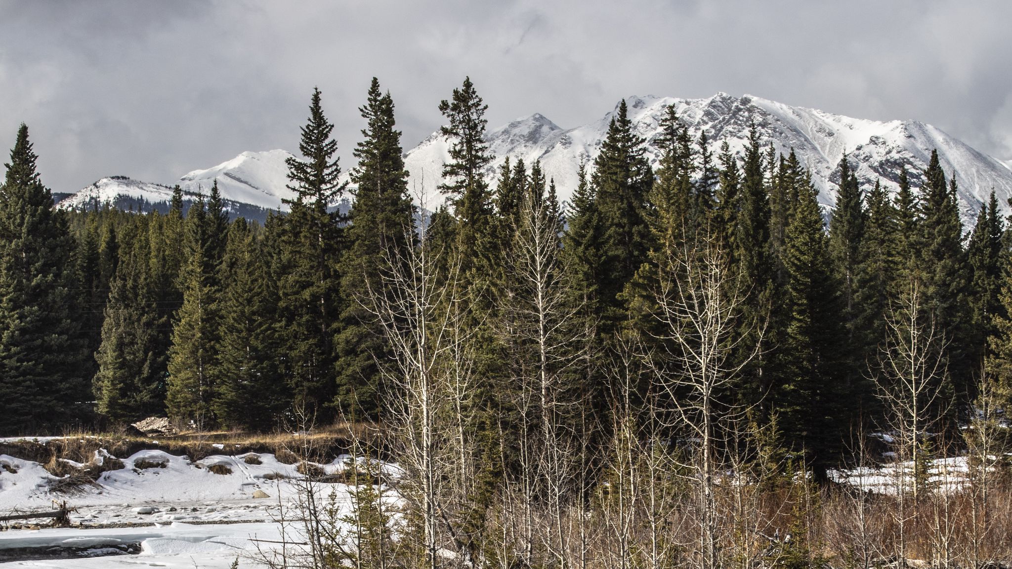 Download wallpaper 2048x1152 forest, trees, mountains, lake, snow