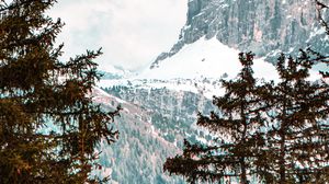 Preview wallpaper forest, trees, mountains, snow, landscape