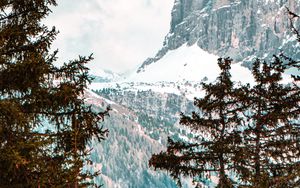 Preview wallpaper forest, trees, mountains, snow, landscape
