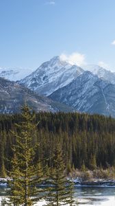 Preview wallpaper forest, trees, mountains, snow, nature, landscape