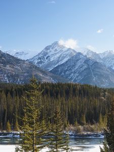 Preview wallpaper forest, trees, mountains, snow, nature, landscape