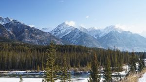 Preview wallpaper forest, trees, mountains, snow, nature, landscape