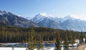 Preview wallpaper forest, trees, mountains, snow, nature, landscape
