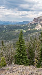 Preview wallpaper forest, trees, mountains, landscape, nature, aerial view