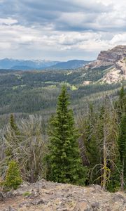 Preview wallpaper forest, trees, mountains, landscape, nature, aerial view