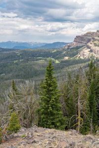 Preview wallpaper forest, trees, mountains, landscape, nature, aerial view