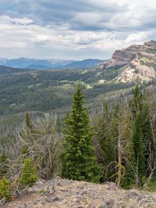 Preview wallpaper forest, trees, mountains, landscape, nature, aerial view