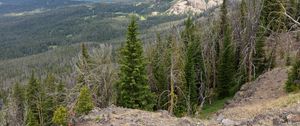 Preview wallpaper forest, trees, mountains, landscape, nature, aerial view