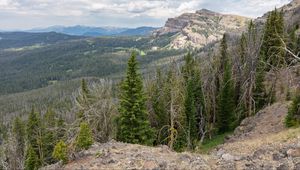 Preview wallpaper forest, trees, mountains, landscape, nature, aerial view