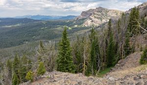 Preview wallpaper forest, trees, mountains, landscape, nature, aerial view