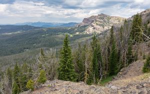 Preview wallpaper forest, trees, mountains, landscape, nature, aerial view