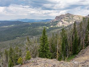 Preview wallpaper forest, trees, mountains, landscape, nature, aerial view