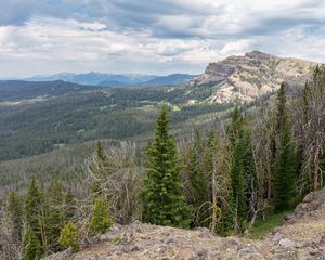 Preview wallpaper forest, trees, mountains, landscape, nature, aerial view