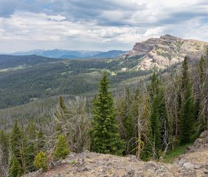 Preview wallpaper forest, trees, mountains, landscape, nature, aerial view