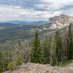 Preview wallpaper forest, trees, mountains, landscape, nature, aerial view