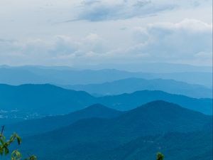 Preview wallpaper forest, trees, mountains, relief, landscape