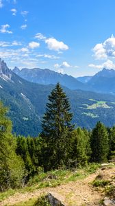 Preview wallpaper forest, trees, mountains, landscape
