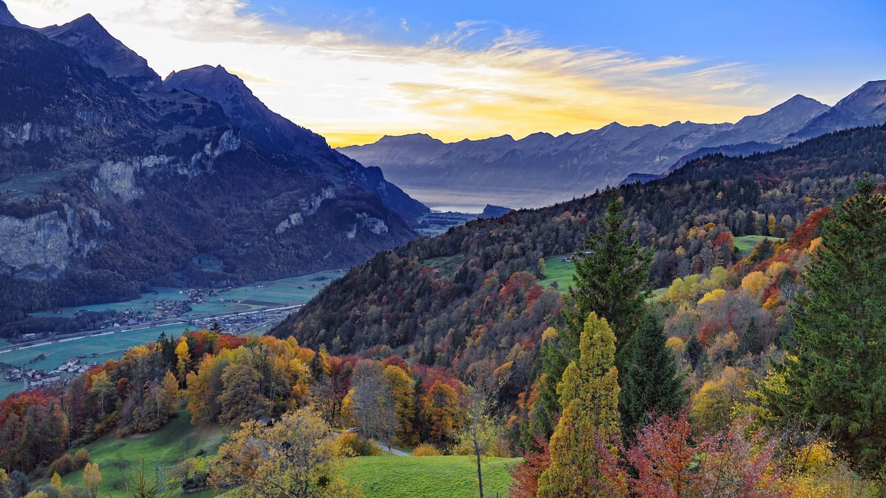 Wallpaper forest, trees, mountains, river, landscape