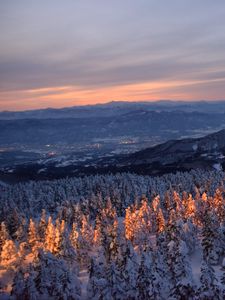 Preview wallpaper forest, trees, mountains, dawn, snow, nature