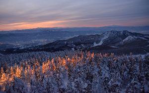 Preview wallpaper forest, trees, mountains, dawn, snow, nature